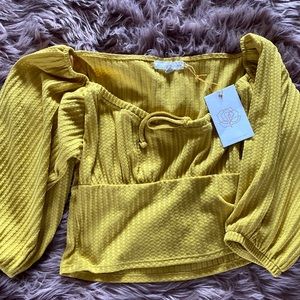 Backyard roses crop top